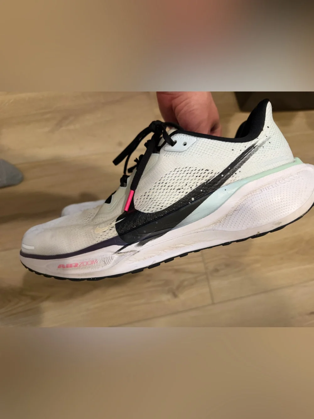 Nike men pegasus